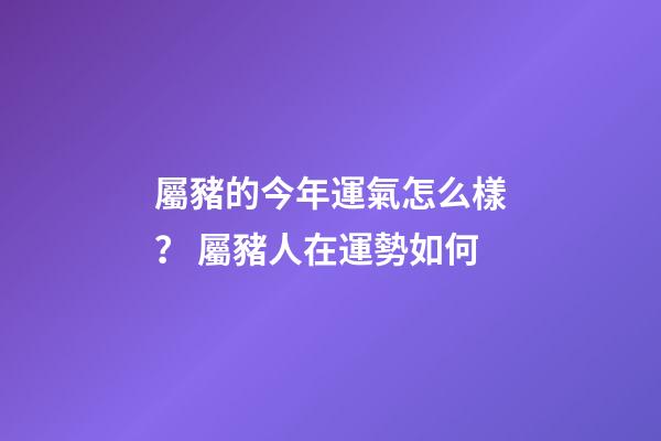 屬豬的今年運氣怎么樣？ 屬豬人在運勢如何-第1張-觀點-玄機派